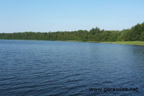 Jezioro Studnica (Popiel, Zofiwka)
